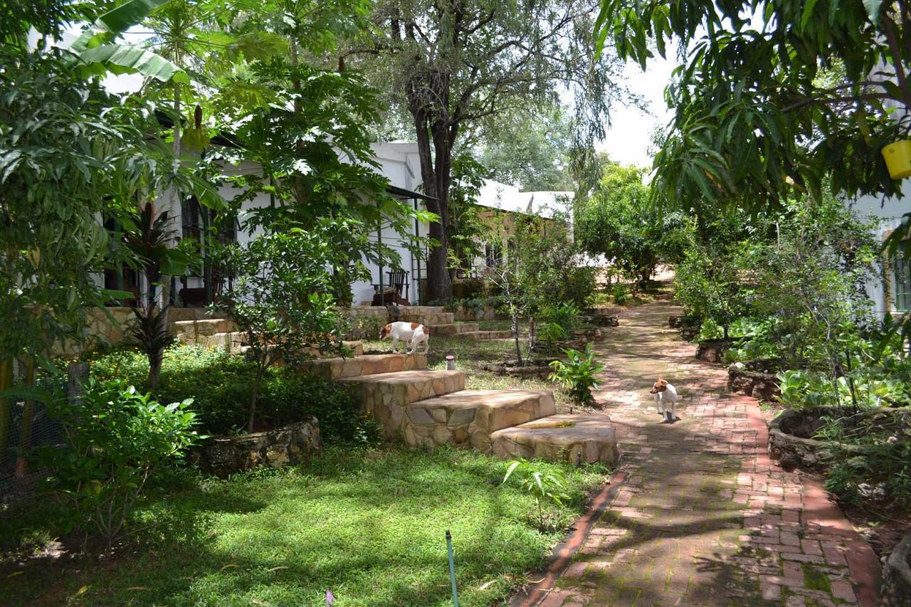 Tambuti Lodge Rundu Exteriör bild