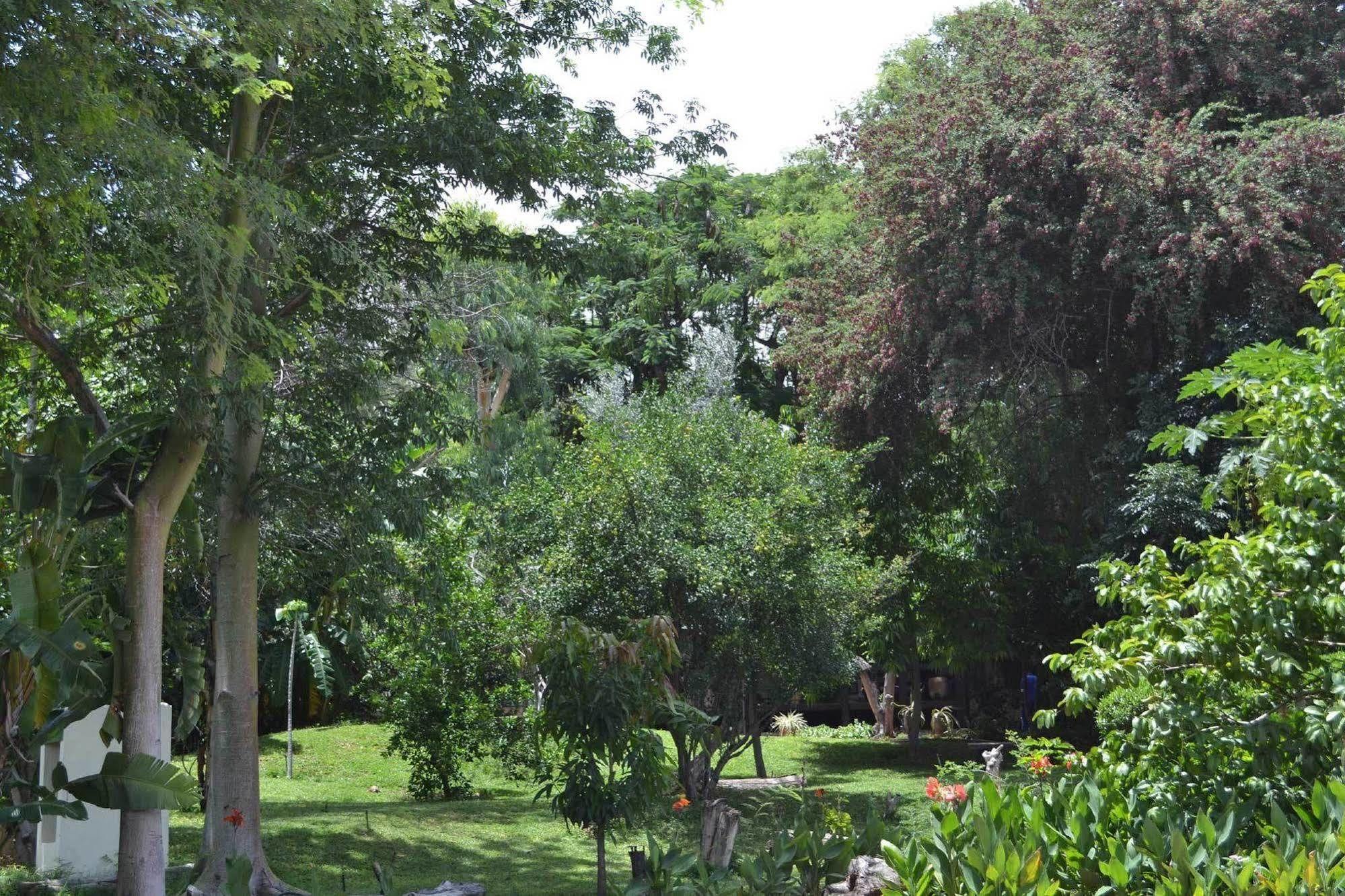 Tambuti Lodge Rundu Exteriör bild